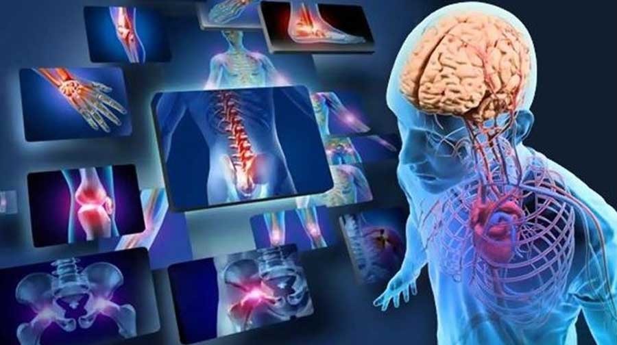 Anatomy & Physiology Level 3